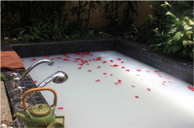 Royal Oak Spa Gurugram